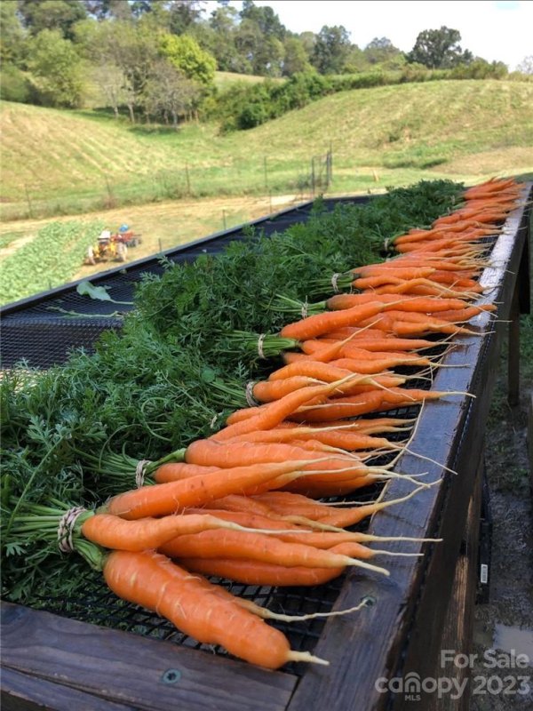 Property image 3 at 134 Old Macedonia Road, Asheville, NC 28701