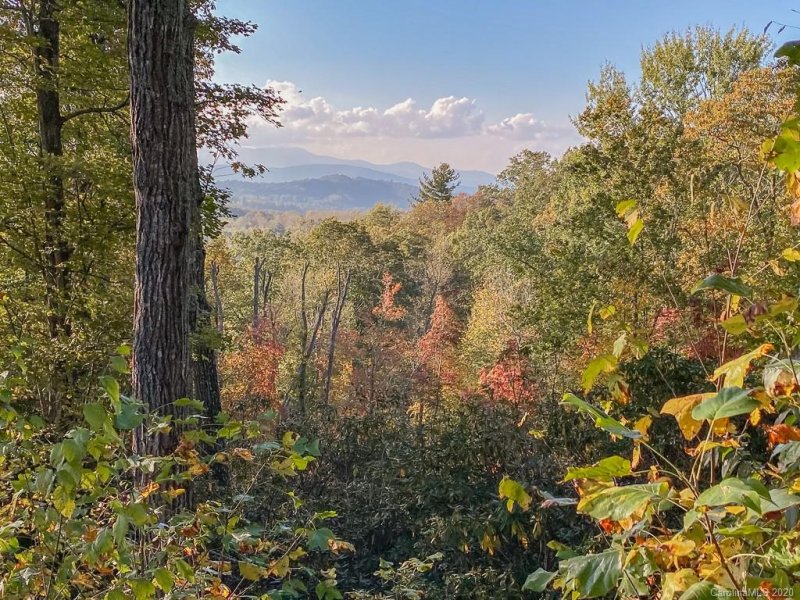 Property image 3 at 215 Crossvine Trail, Hendersonville, NC 28739