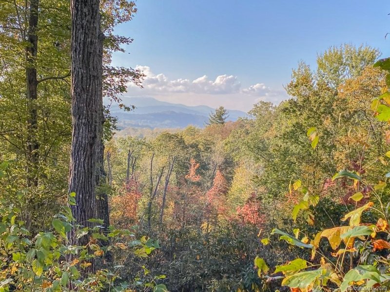 Property image 5 at 215 Crossvine Trail, Hendersonville, NC 28739