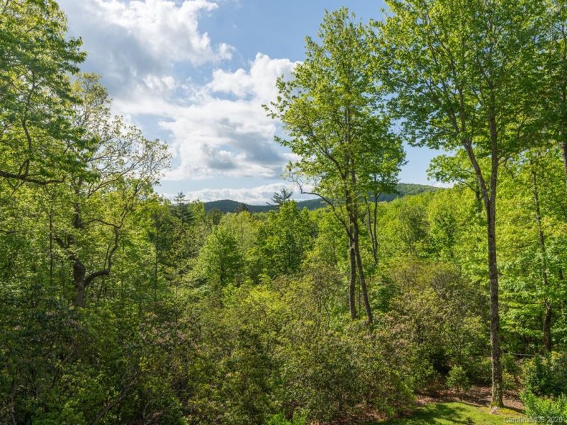 Property image 4 at 1001 Spanish Oak Drive, Cedar Mountain, NC 28718