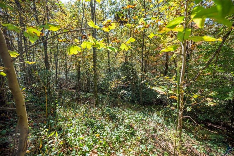 Property image 3 at Tdb Fern Cove Lane, Pisgah Forest, NC 28768