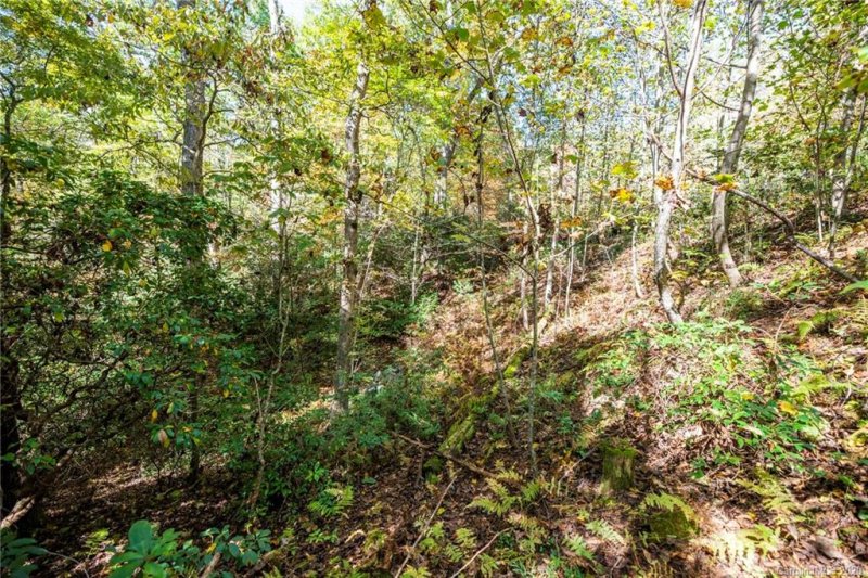 Property image 4 at Tdb Fern Cove Lane, Pisgah Forest, NC 28768