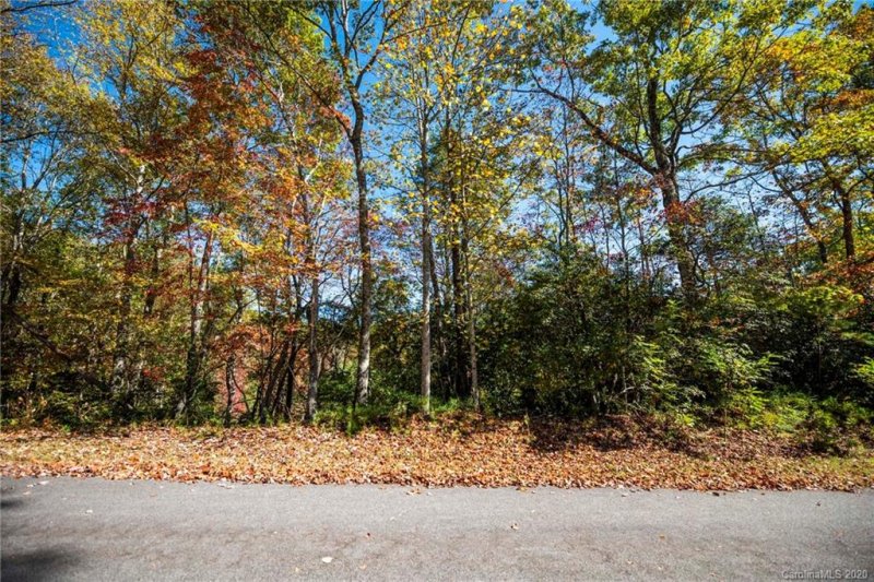 Property image 3 at Tdb Fern Cove Lane, Pisgah Forest, NC 28768