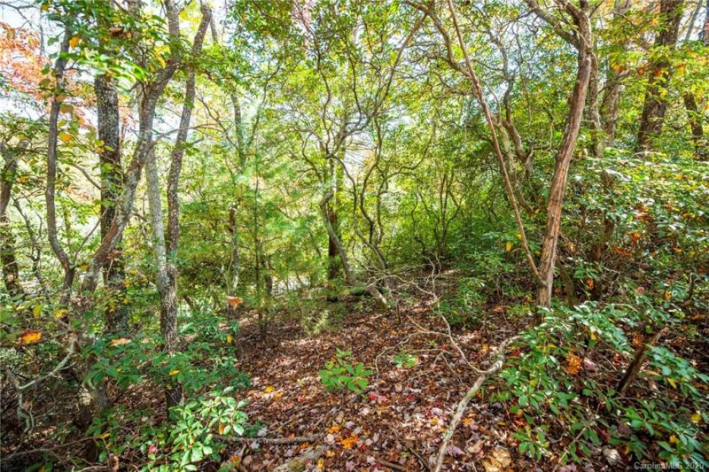 Property image 4 at Tdb Fern Cove Lane, Pisgah Forest, NC 28768