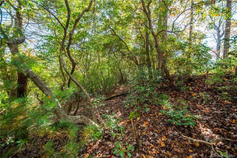 Property image 5 at Tdb Fern Cove Lane, Pisgah Forest, NC 28768