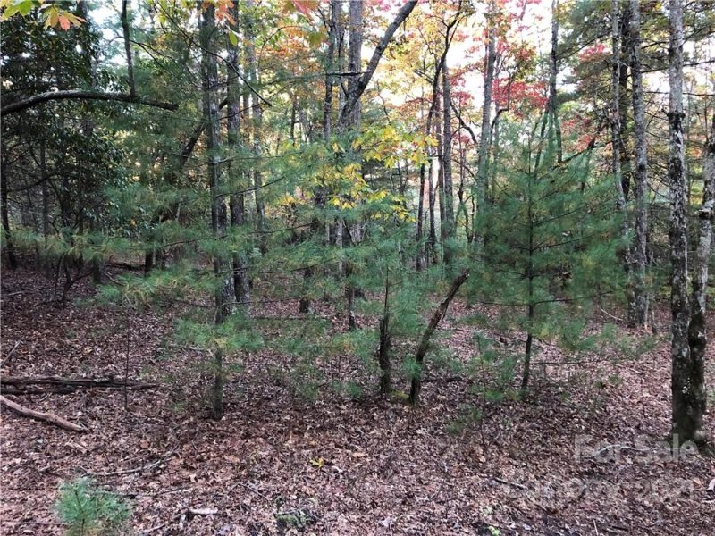 J111 Mulberry Circle