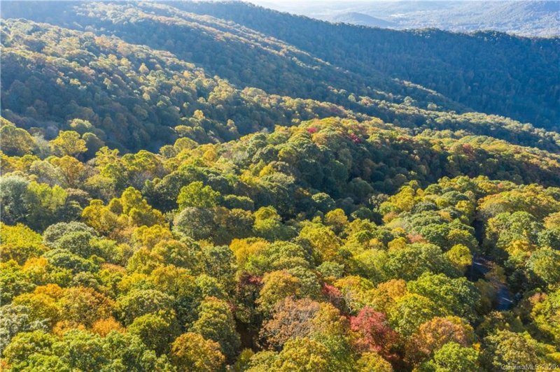 Property image 2 at 27 Mountain Mint Drive, Swannanoa, NC 28778