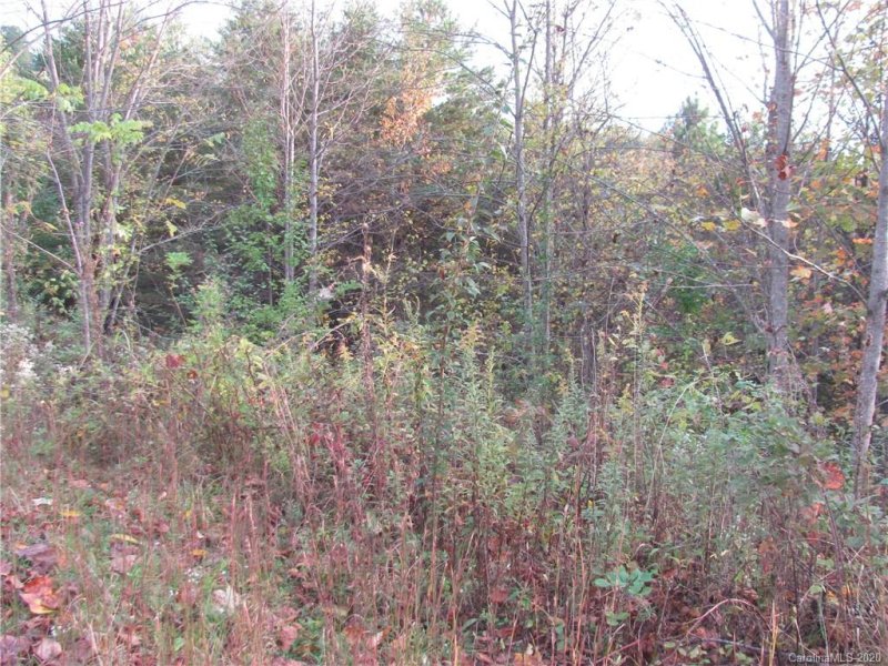 Property image 3 at 532 Sky Ridge Drive, Leicester, NC 28748