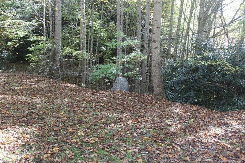 Property image 4 at 132 Moonbeam Lane, Clyde, NC 28721