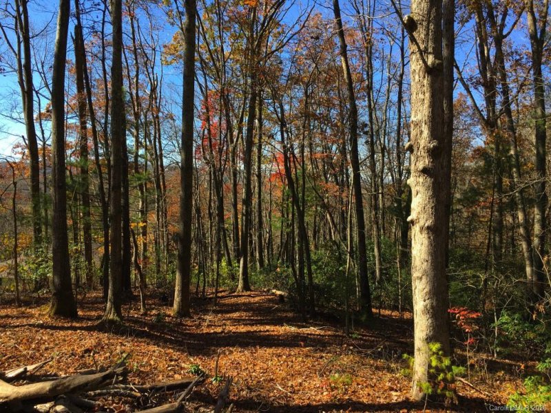 Lot W1 Curtain Bluff None