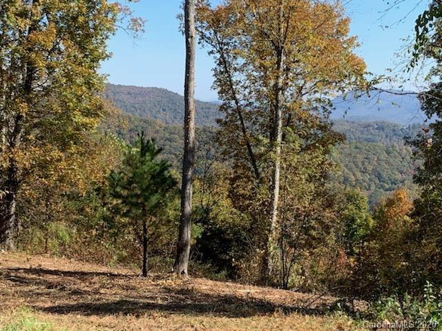 Property image 2 at Lot 60 N Lure View Lane, Hendersonville, NC 28792