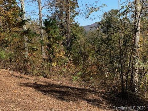 Property image 5 at Lot 60 N Lure View Lane, Hendersonville, NC 28792