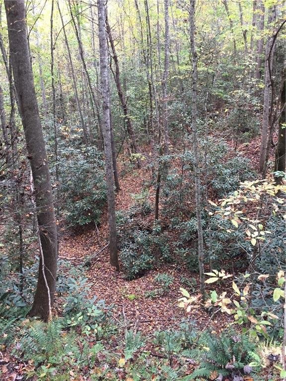 Property image 3 at 0000 Lehi Lane, Collettsville, NC 28611