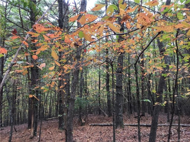 Property image 4 at 0000 Lehi Lane, Collettsville, NC 28611