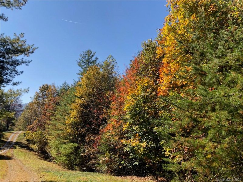 Property image 3 at 34 Laurel Heights Road, Marshall, NC 28753