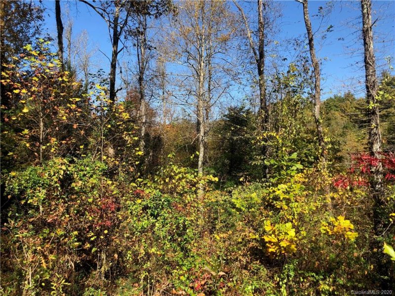 Property image 4 at 34 Laurel Heights Road, Marshall, NC 28753