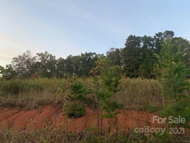 Property image 3 at Lot 51 The Meadows, Nebo, NC 28761