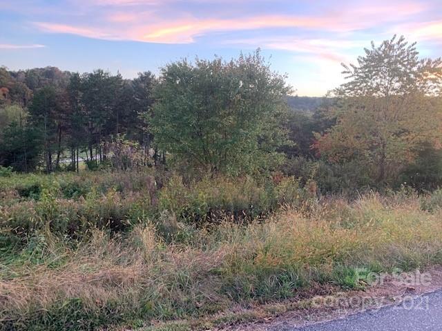 Property image 5 at Lot 51 The Meadows, Nebo, NC 28761