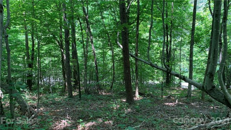 Property image 4 at 61 Wind Stone Drive, Asheville, NC 28804