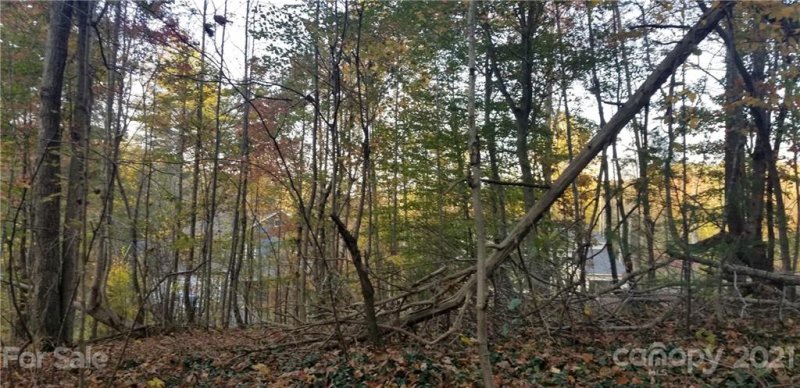 Property image 5 at 61 Wind Stone Drive, Asheville, NC 28804