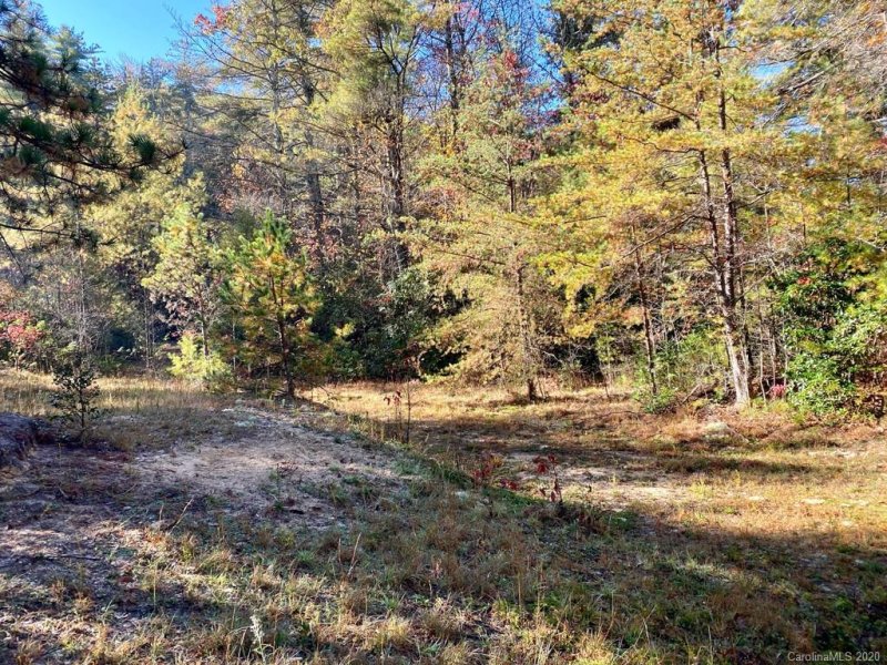 Property image 3 at Tbd Marshall Lake Road, Cedar Mountain, NC 28718