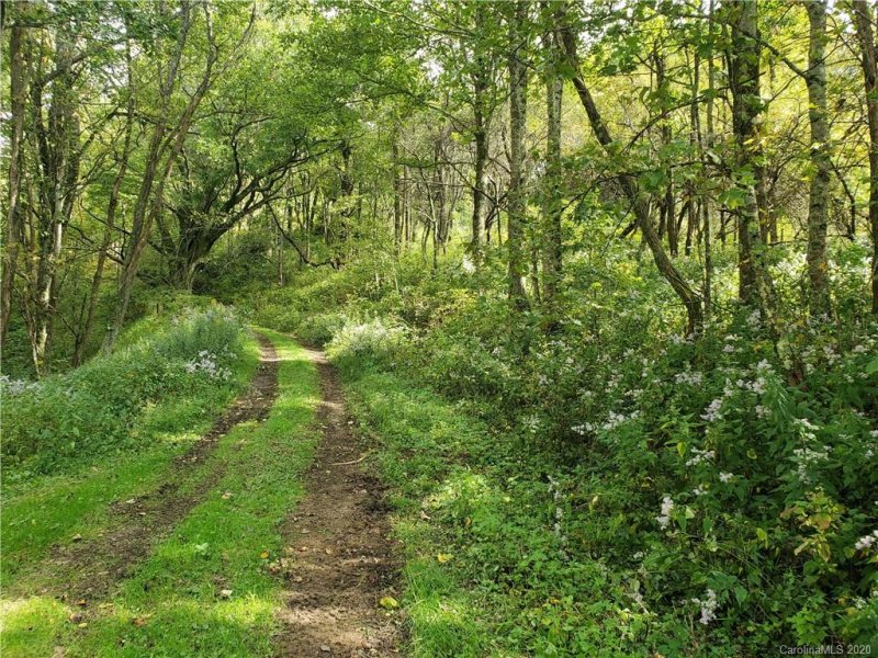 Property image 2 at 57 Skyridge Drive, Clyde, NC 28721