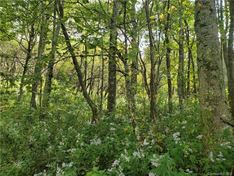 Property image 3 at 57 Skyridge Drive, Clyde, NC 28721