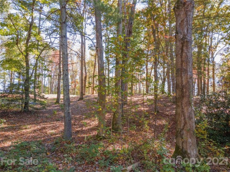 Property image 2 at 107 Annabelle Drive, Fairview, NC 28730