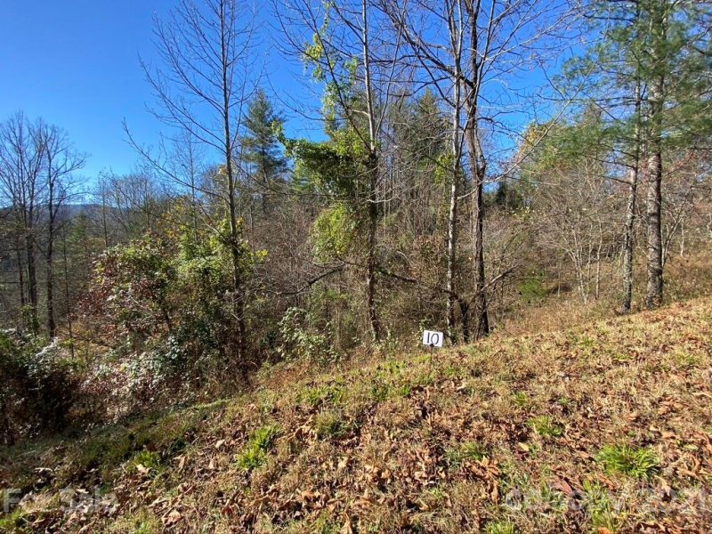 Property image 3 at 000 Off Overlook Lane, Marshall, NC 28753