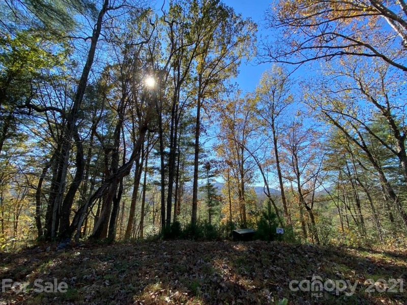 Property image 4 at 000 Off Overlook Lane, Marshall, NC 28753