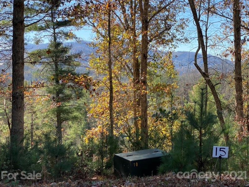 Property image 5 at 000 Off Overlook Lane, Marshall, NC 28753
