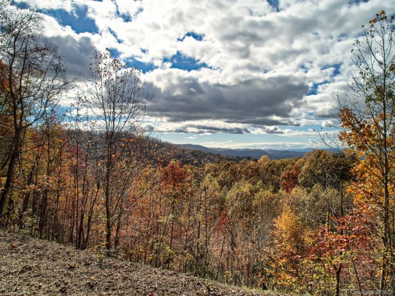 Property image 4 at 370 Somersby Parkway, Laurel Park, NC 28739