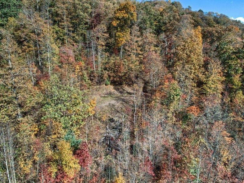 Property image 5 at 370 Somersby Parkway, Laurel Park, NC 28739