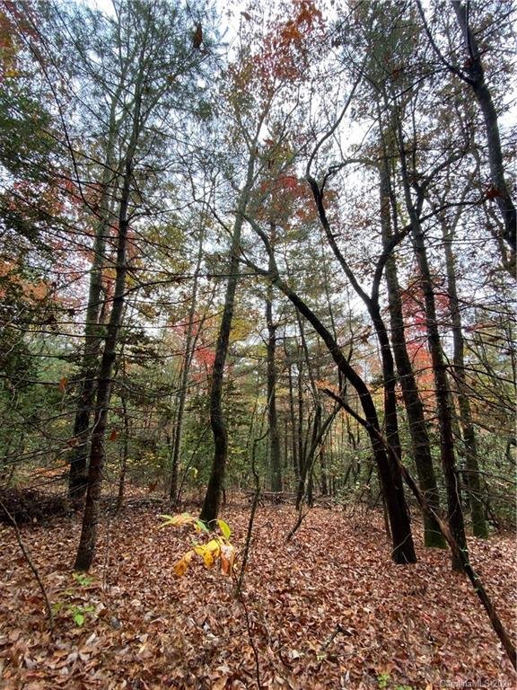 Property image 3 at 5a Dogwood Circle, Penrose, NC 28766