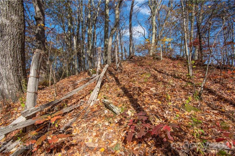 Property image 2 at Tract 8 9 Sigogglin Trail, Waynesville, NC 28785