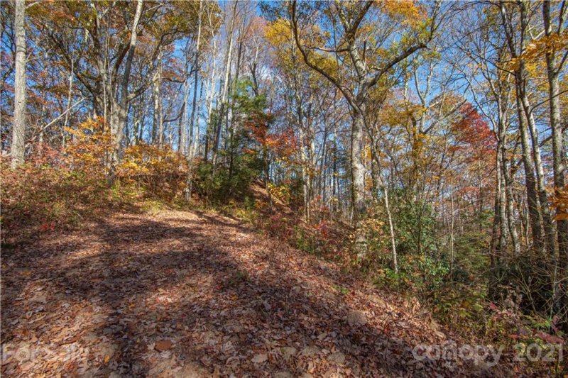 Property image 3 at Tract 8 9 Sigogglin Trail, Waynesville, NC 28785