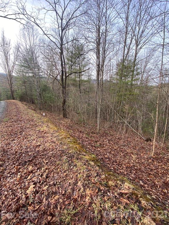 Property image 5 at 9999 Off Sunnyside Drive, Marshall, NC 28753