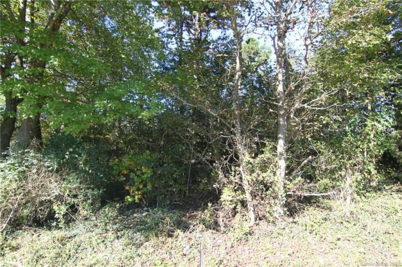 Property image 2 at 821 Hephzibah Church Road, Crouse, NC 28033