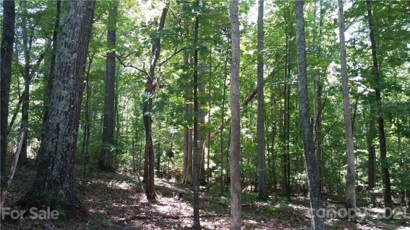 Property image 3 at 55 Ac Balmoral Drive, Rock Hill, SC 29732