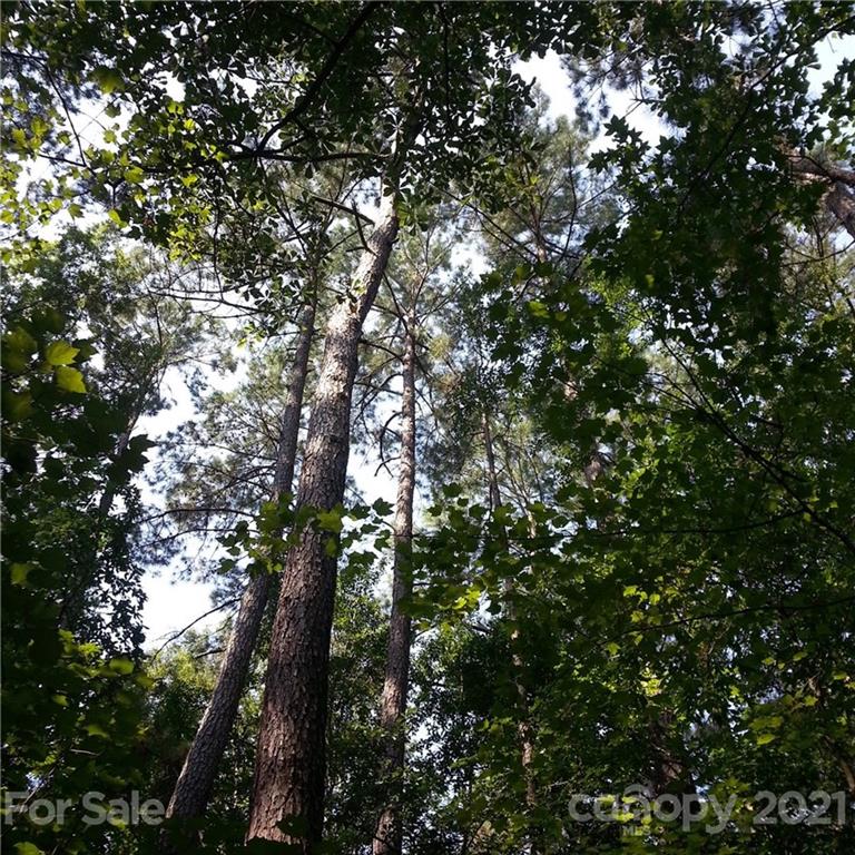 Property image 4 at 55 Ac Balmoral Drive, Rock Hill, SC 29732