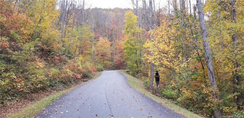 Property image 2 at Lot 5 Mountain Watch Drive, Waynesville, NC 28785