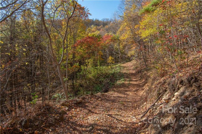Property image 3 at Tract 15 Sigogglin Trail, Waynesville, NC 28785
