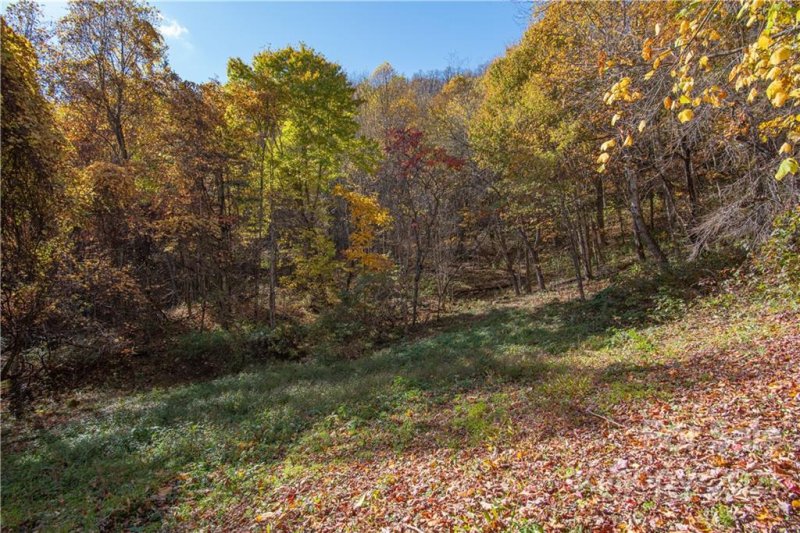 Property image 4 at Tract 15 Sigogglin Trail, Waynesville, NC 28785
