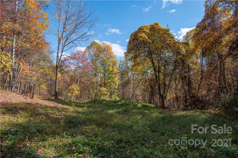 Property image 5 at Tract 15 Sigogglin Trail, Waynesville, NC 28785