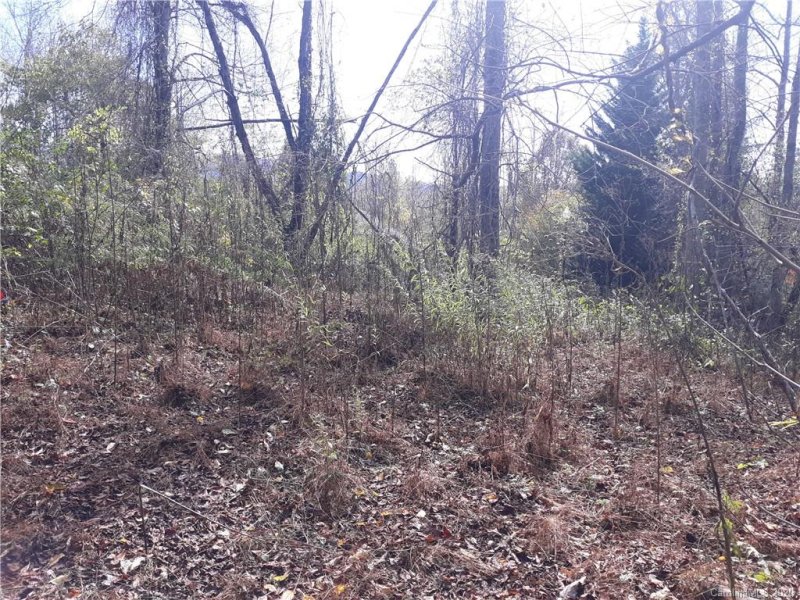 Property image 2 at 118 Blackberry Lane, Fairview, NC 28730