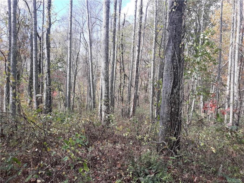 Property image 3 at 118 Blackberry Lane, Fairview, NC 28730