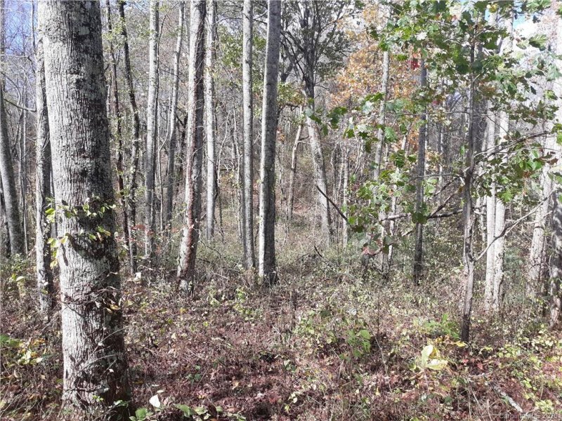 Property image 4 at 118 Blackberry Lane, Fairview, NC 28730