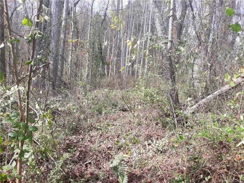 Property image 5 at 118 Blackberry Lane, Fairview, NC 28730