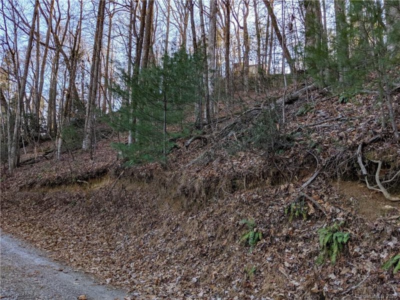 Property image 4 at 00 Blackberry Trail, Lake Lure, NC 28746