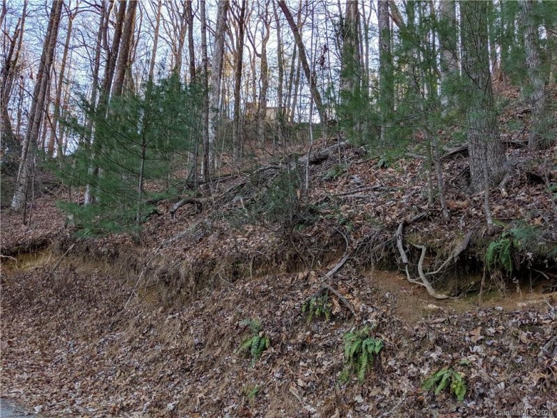 Property image 5 at 00 Blackberry Trail, Lake Lure, NC 28746